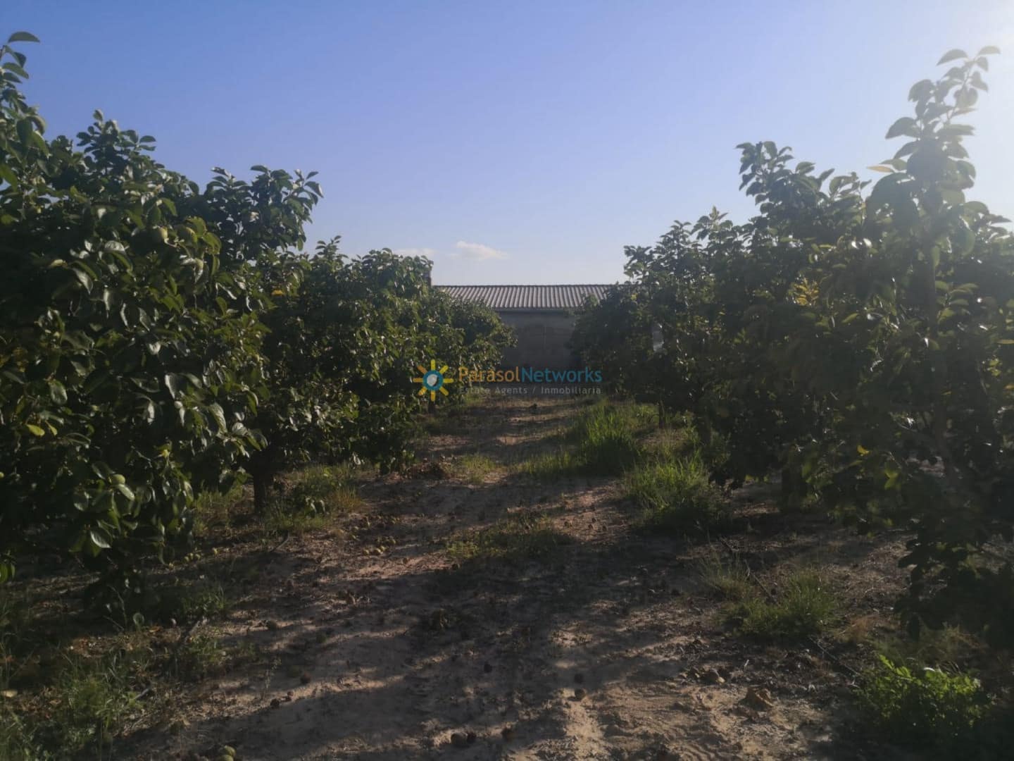 Grunde uden byggetilladelser til salg i Albaida - € 100.000 (Ref: 9433387)