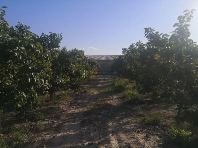 Undeveloped Land for sale in Albaida - € 100,000 (Ref: 9433387)