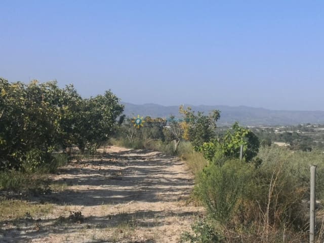 Undeveloped Land for sale in Albaida - € 100,000 (Ref: 9433387)