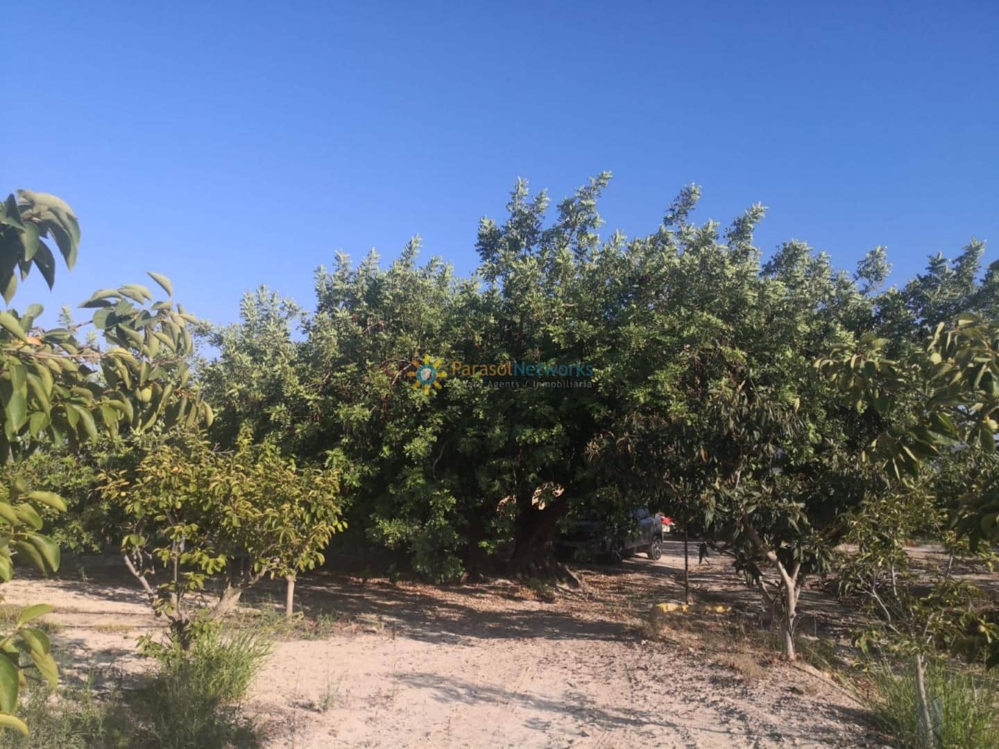 Grunde uden byggetilladelser til salg i Albaida - € 100.000 (Ref: 9433387)