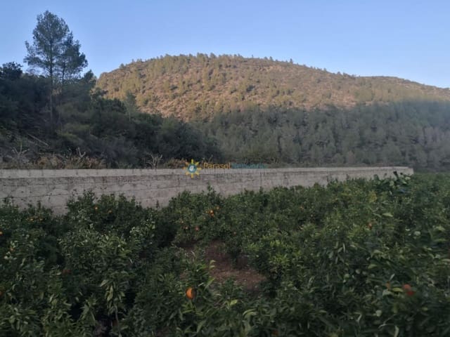 Undeveloped Land for sale in L'Atzúvia - € 450,000 (Ref: 9437624)