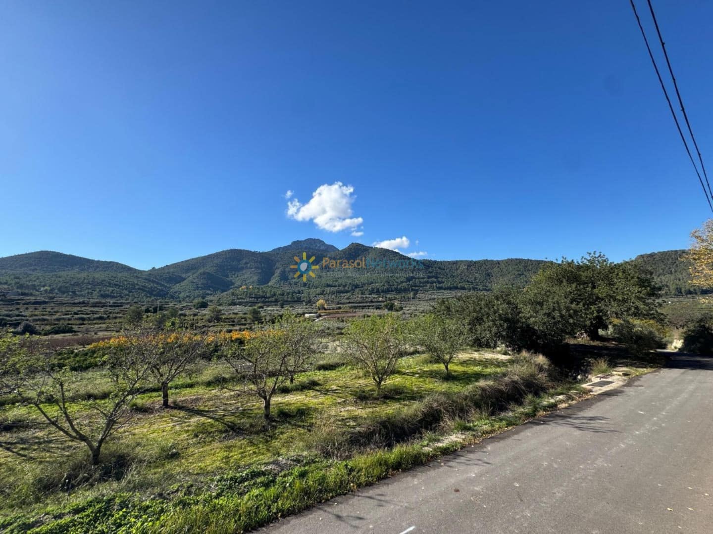 Bauplatz zu verkaufen in Senyera - 8.000 € (Ref: 9447101)