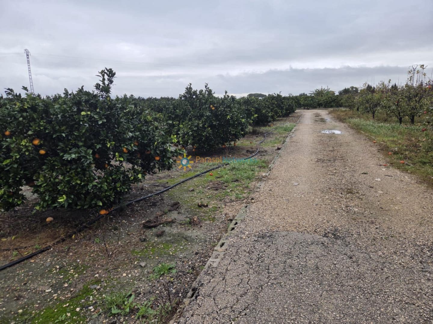 Bauplatz zu verkaufen in Senyera - 8.000 € (Ref: 9447101)