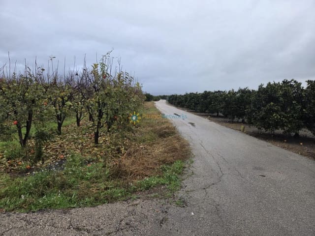 Działka budowlana na sprzedaż w Senyera - 8 000 € (Ref: 9447101)