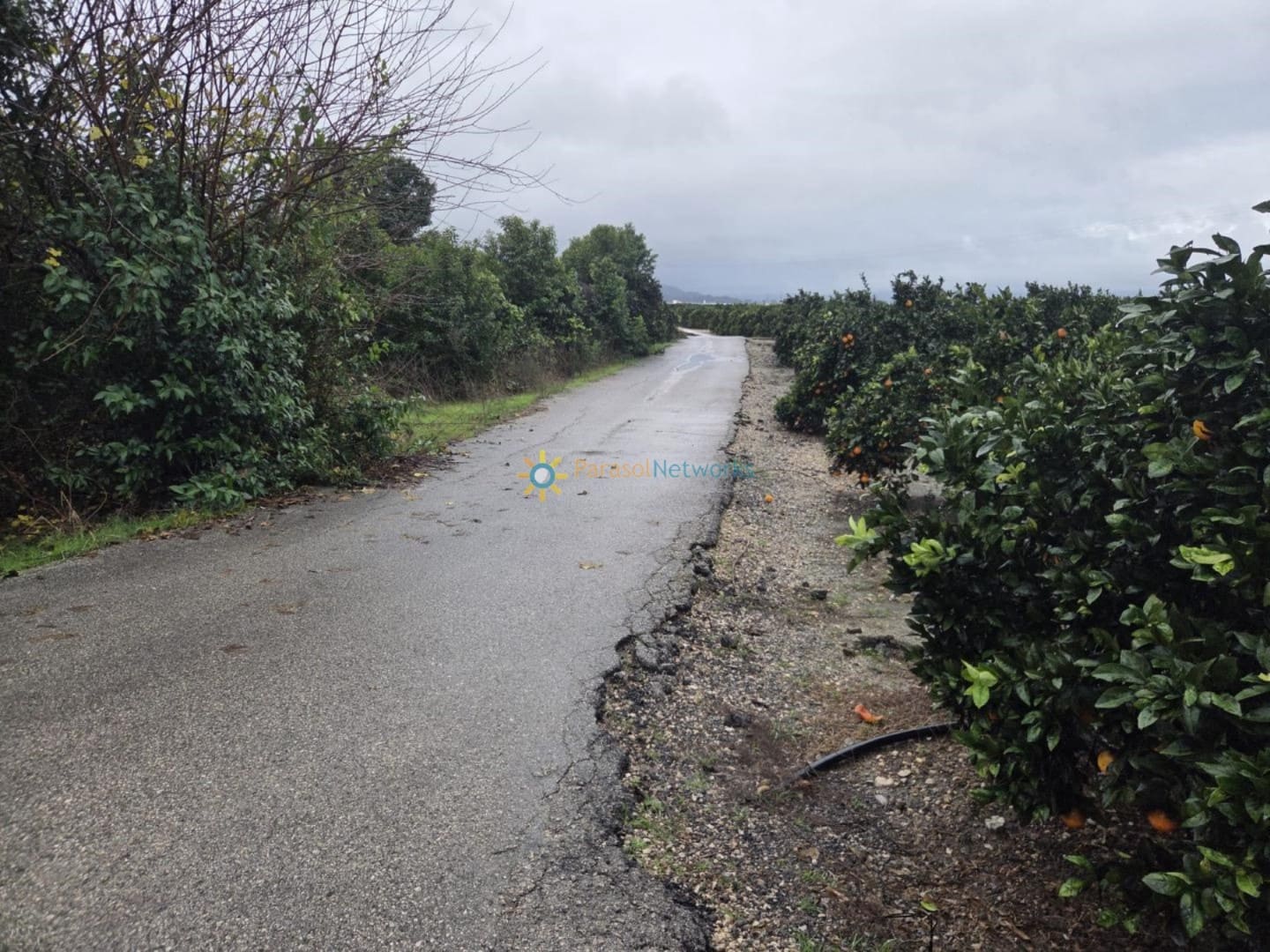 Bauplatz zu verkaufen in Senyera - 8.000 € (Ref: 9447101)