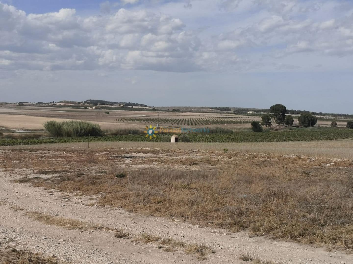 3 slaapkamer Finca/Landhuis te koop in Villena - € 1.000.000 (Ref: 9449719)