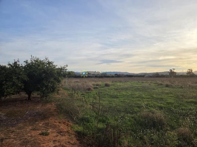 Undeveloped Land for sale in Rafelguaraf - € 69,000 (Ref: 9451486)