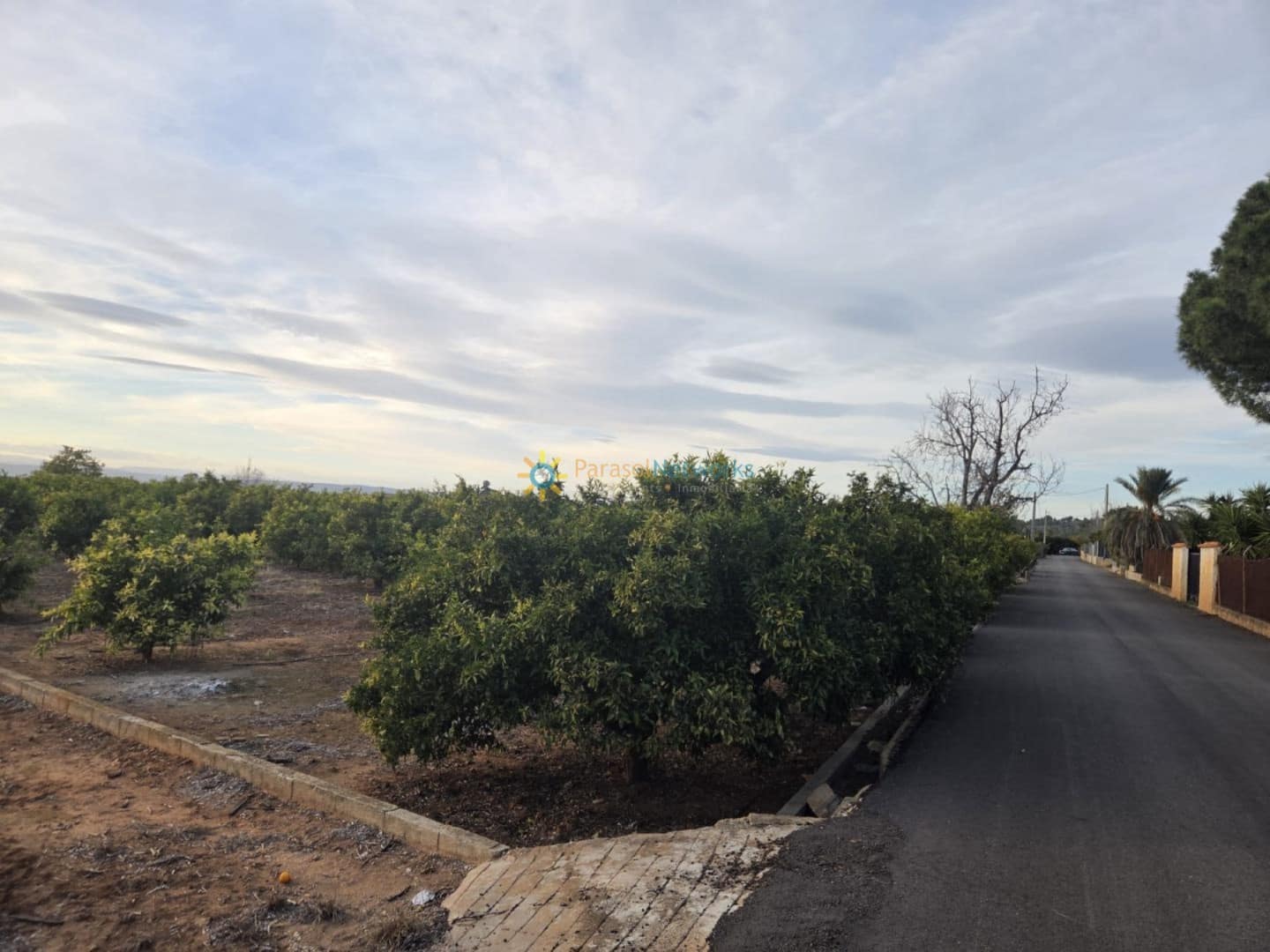 Mark till salu i Rafelguaraf - 69 000 € (Ref: 9451486)