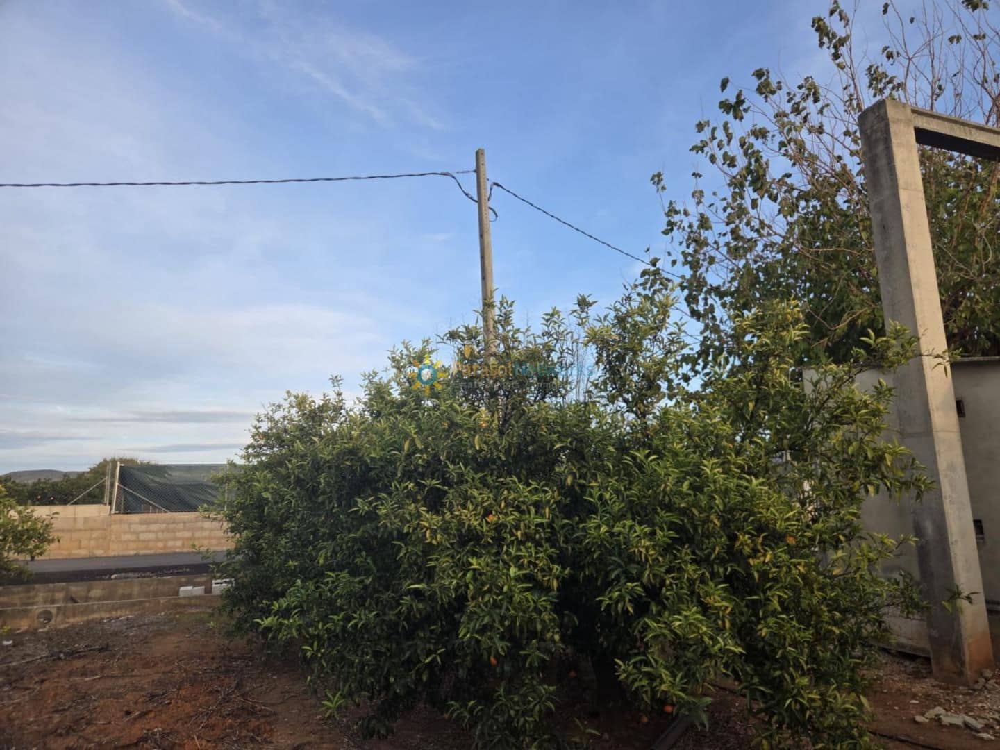 Mark till salu i Rafelguaraf - 69 000 € (Ref: 9451486)