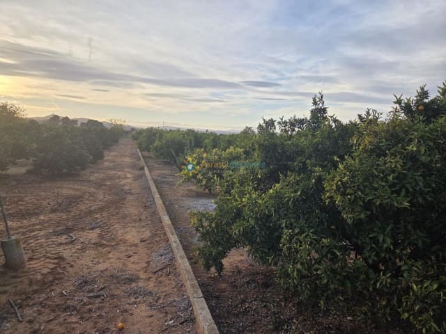 Undeveloped Land for sale in Rafelguaraf - € 69,000 (Ref: 9451486)