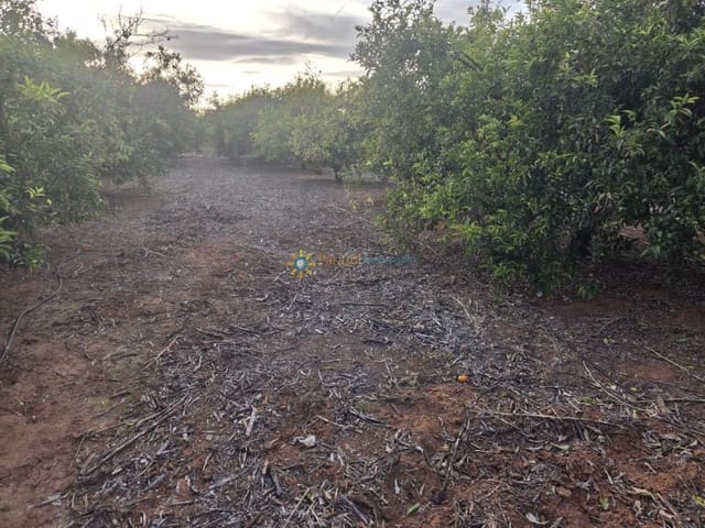 Undeveloped Land for sale in Rafelguaraf - € 69,000 (Ref: 9451486)