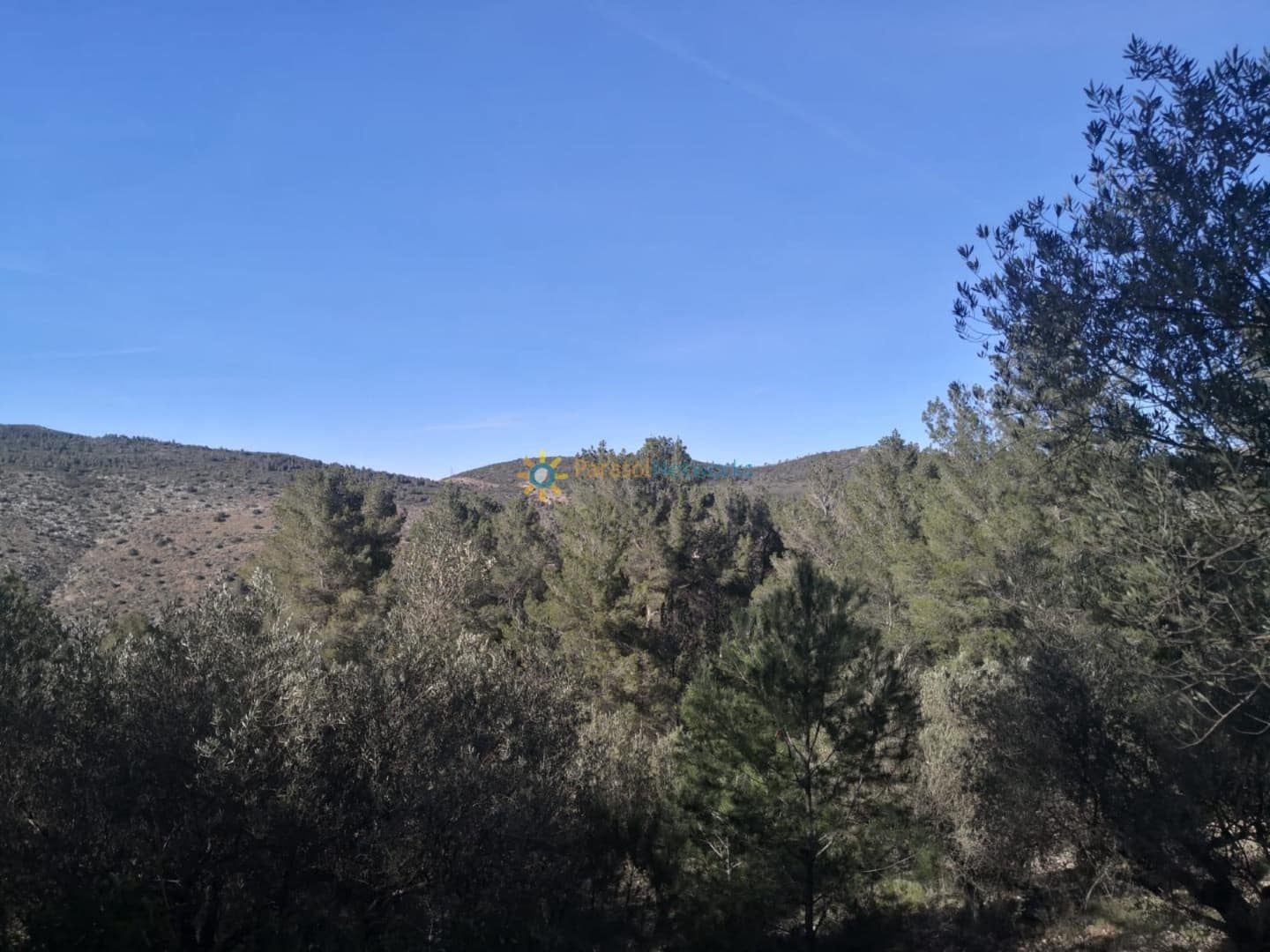 Rakentamaton maa myytävänä paikassa Muro de Alcoy - 128 000 € (Ref: 9471332)