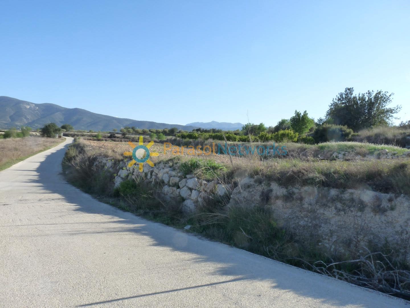 Terre non Aménagée à vendre à Belgida - 125 000 € (Ref: 9473326)