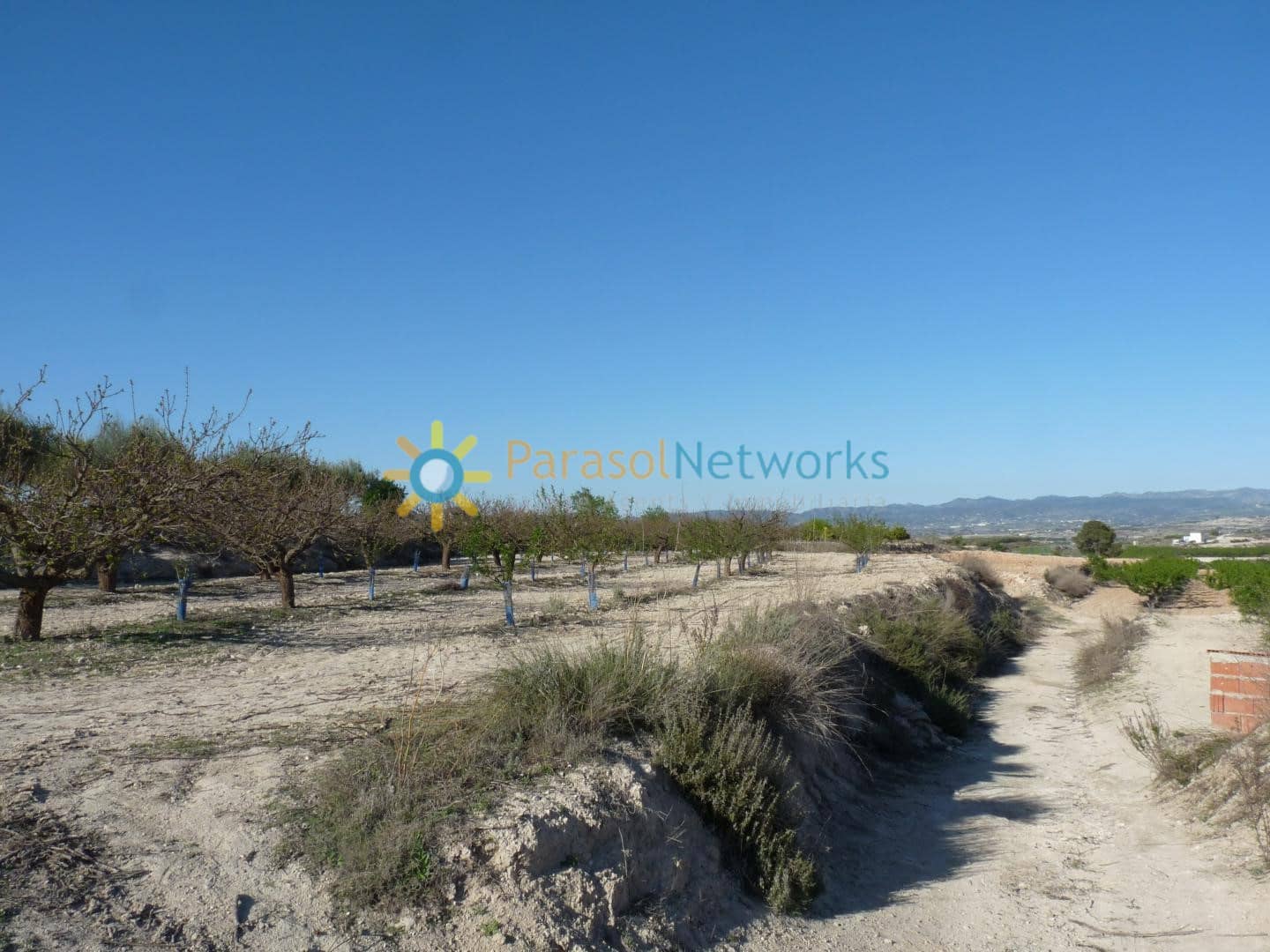 Terre non Aménagée à vendre à Belgida - 125 000 € (Ref: 9473326)