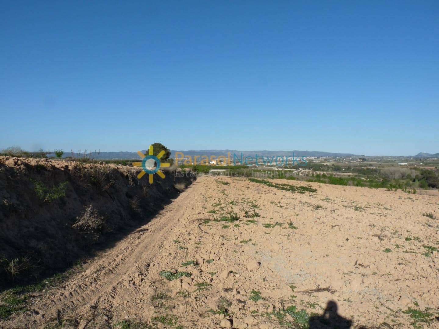 Terre non Aménagée à vendre à Belgida - 125 000 € (Ref: 9473326)