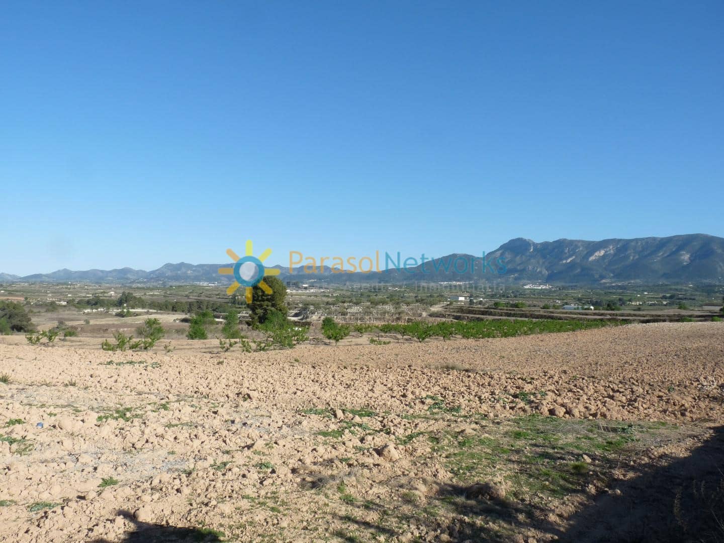 Terre non Aménagée à vendre à Belgida - 125 000 € (Ref: 9473326)