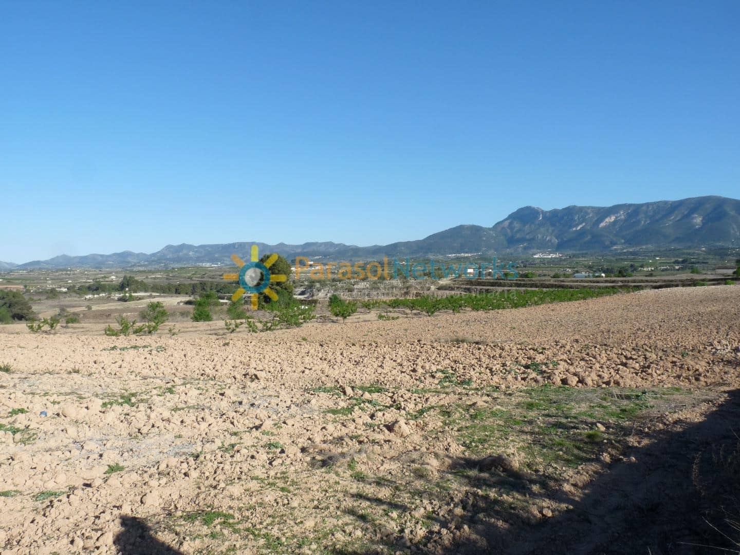 Terre non Aménagée à vendre à Belgida - 125 000 € (Ref: 9473326)