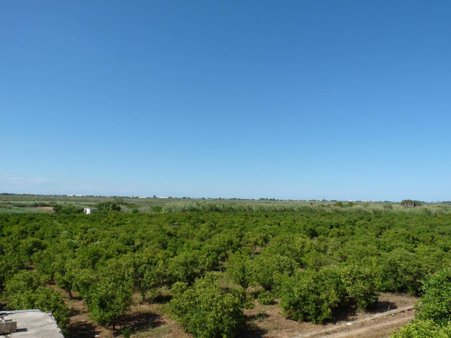 Rakentamaton maa myytävänä paikassa Pego - 200 000 € (Ref: 9473452)