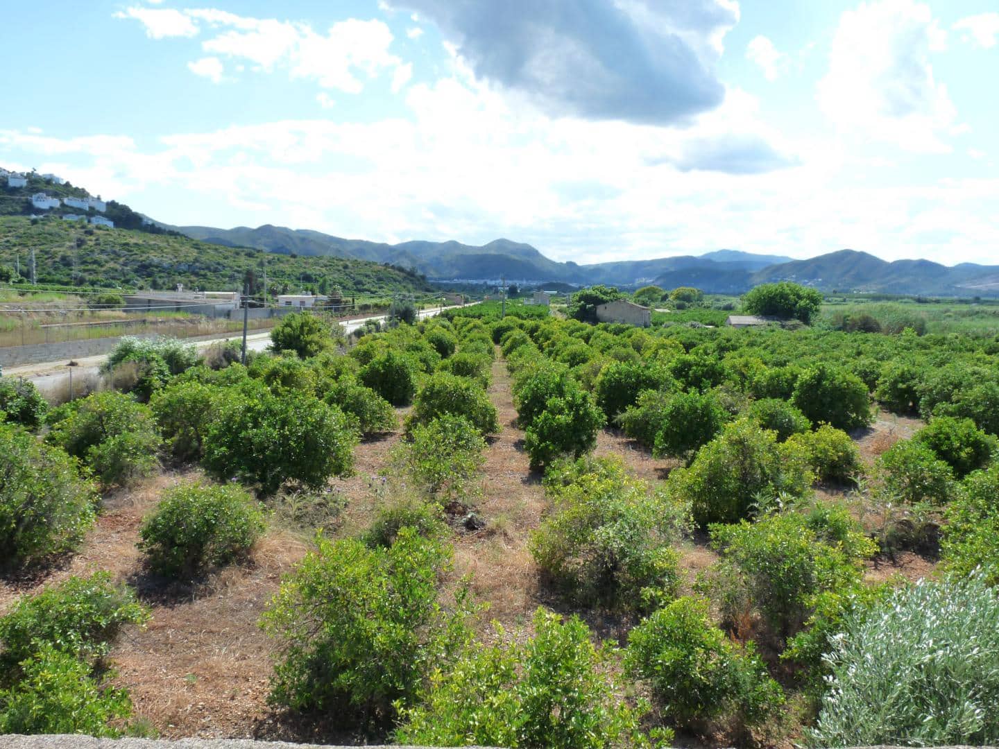 Rakentamaton maa myytävänä paikassa Pego - 200 000 € (Ref: 9473452)