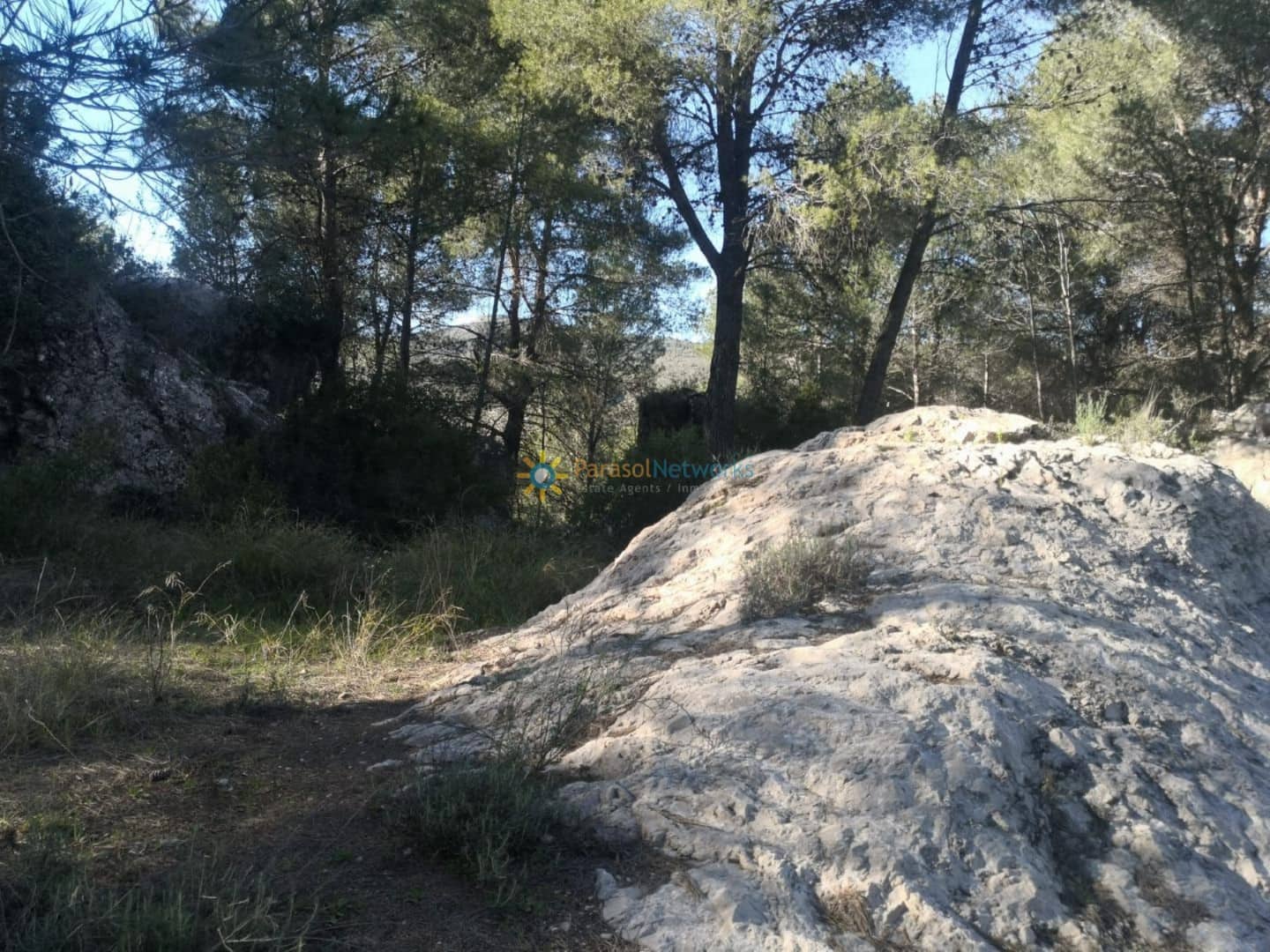 Ubebygd land til salgs i Muro de Alcoy - € 128 000 (Ref: 9473528)