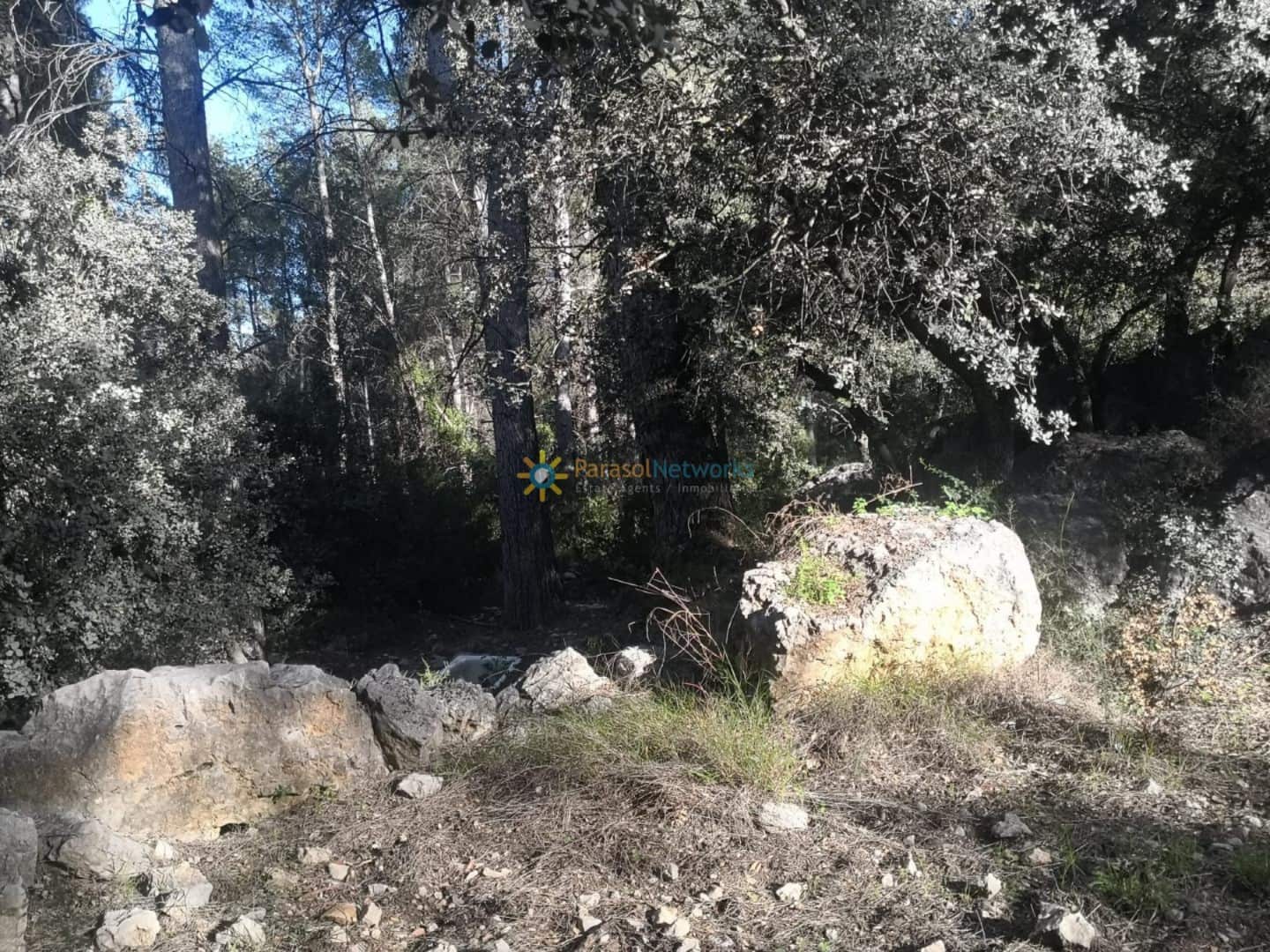 Ubebygd land til salgs i Muro de Alcoy - € 128 000 (Ref: 9473528)