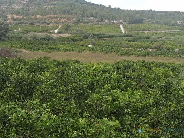 Undeveloped Land for sale in Sellent - € 31,000 (Ref: 9474451)