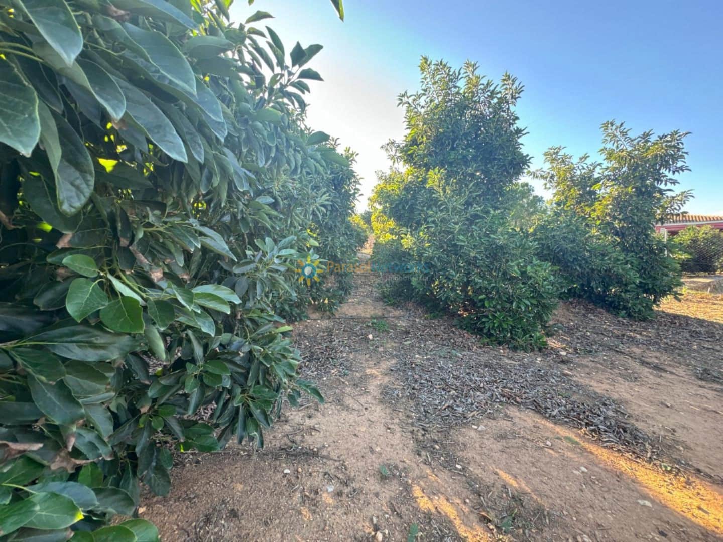 6 makuuhuone Huvila myytävänä paikassa Cotes mukana uima-altaan 
autotalli - 215 000 € (Ref: 9480726)