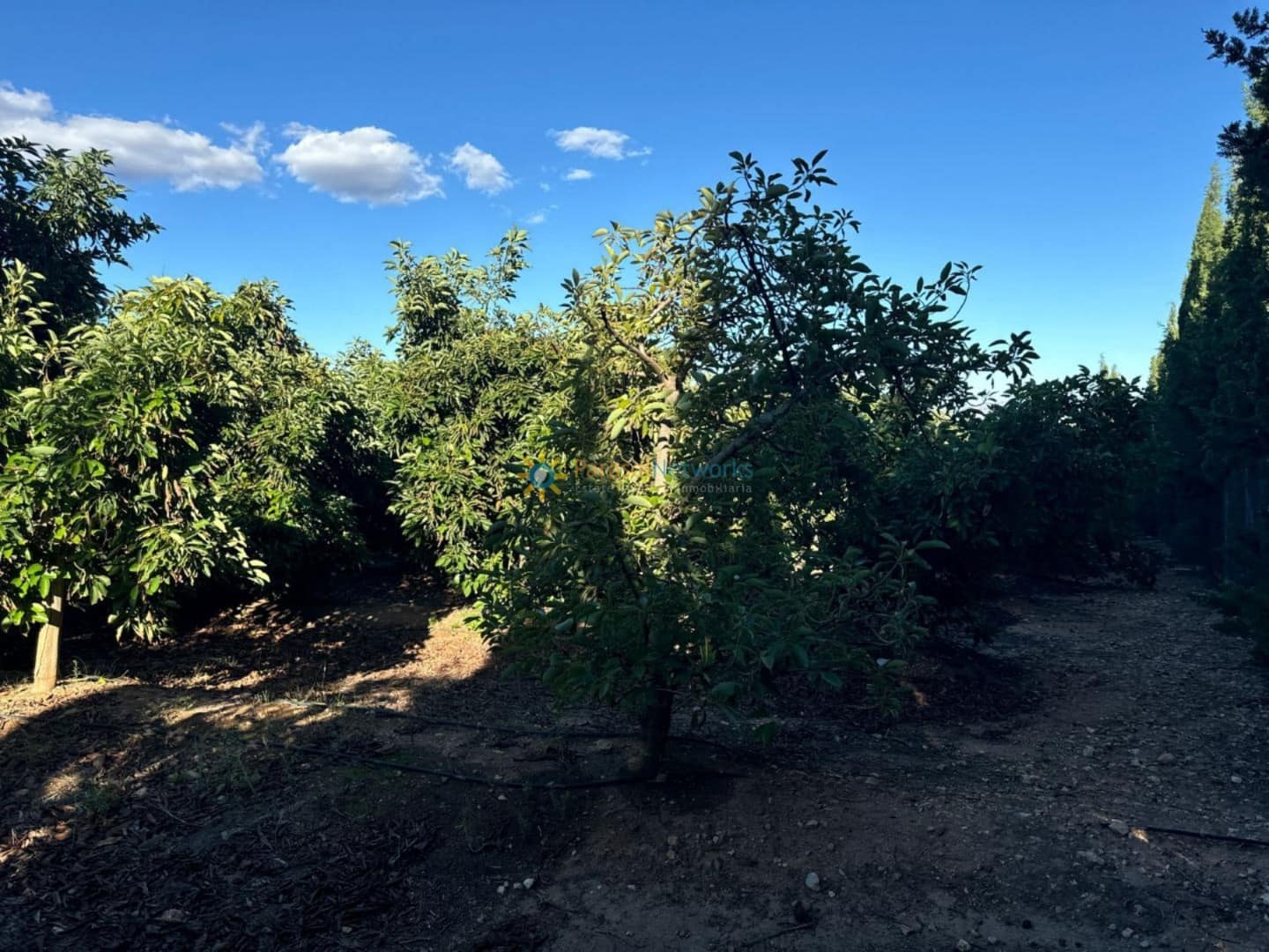 6 makuuhuone Huvila myytävänä paikassa Cotes mukana uima-altaan 
autotalli - 215 000 € (Ref: 9480726)