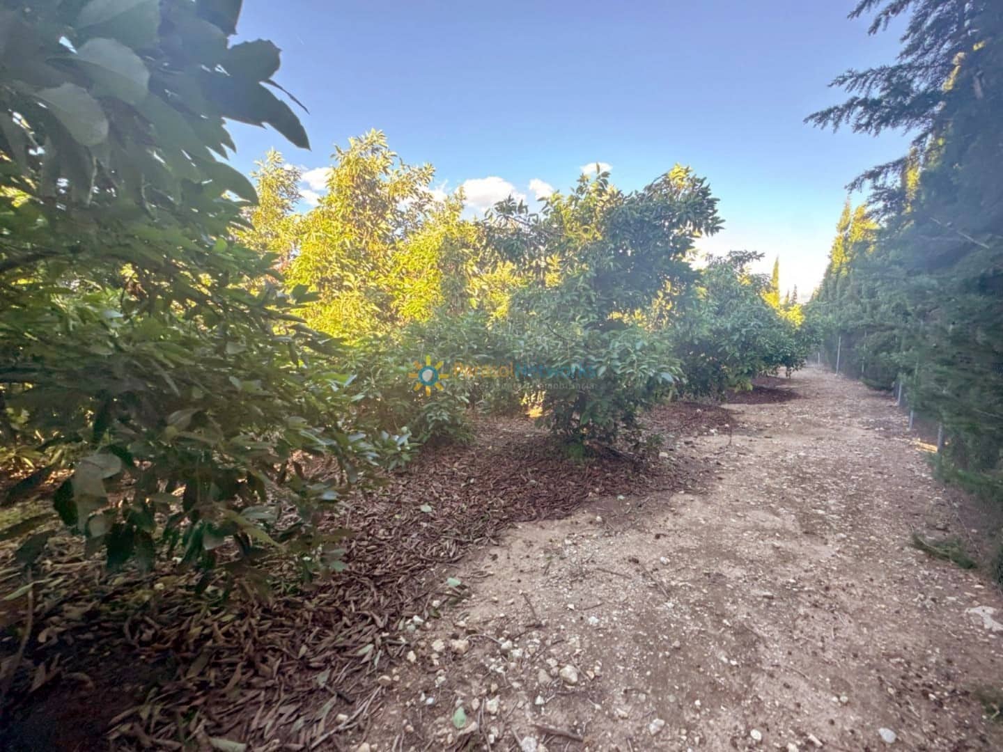 6 makuuhuone Huvila myytävänä paikassa Cotes mukana uima-altaan 
autotalli - 215 000 € (Ref: 9480726)