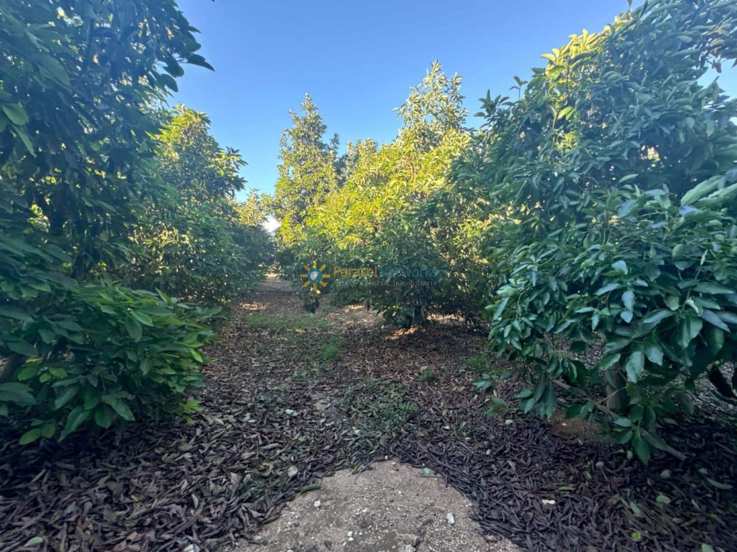 6 slaapkamer Villa te koop in Cotes met zwembad garage - € 215.000 (Ref: 9481396)