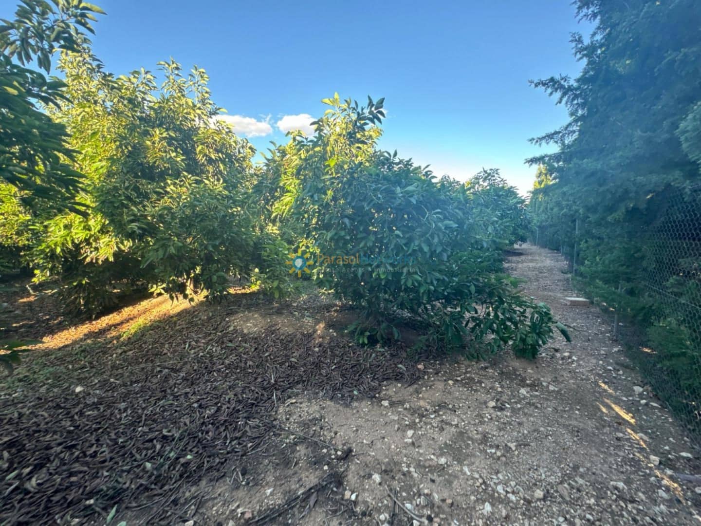 6 slaapkamer Villa te koop in Cotes met zwembad garage - € 215.000 (Ref: 9481396)