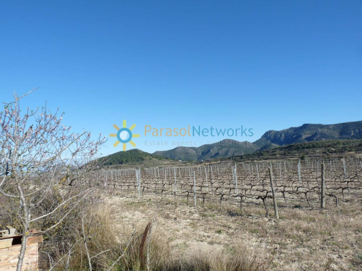 Ubebygd land til salgs i Castello de Rugat - € 199 000 (Ref: 9487922)