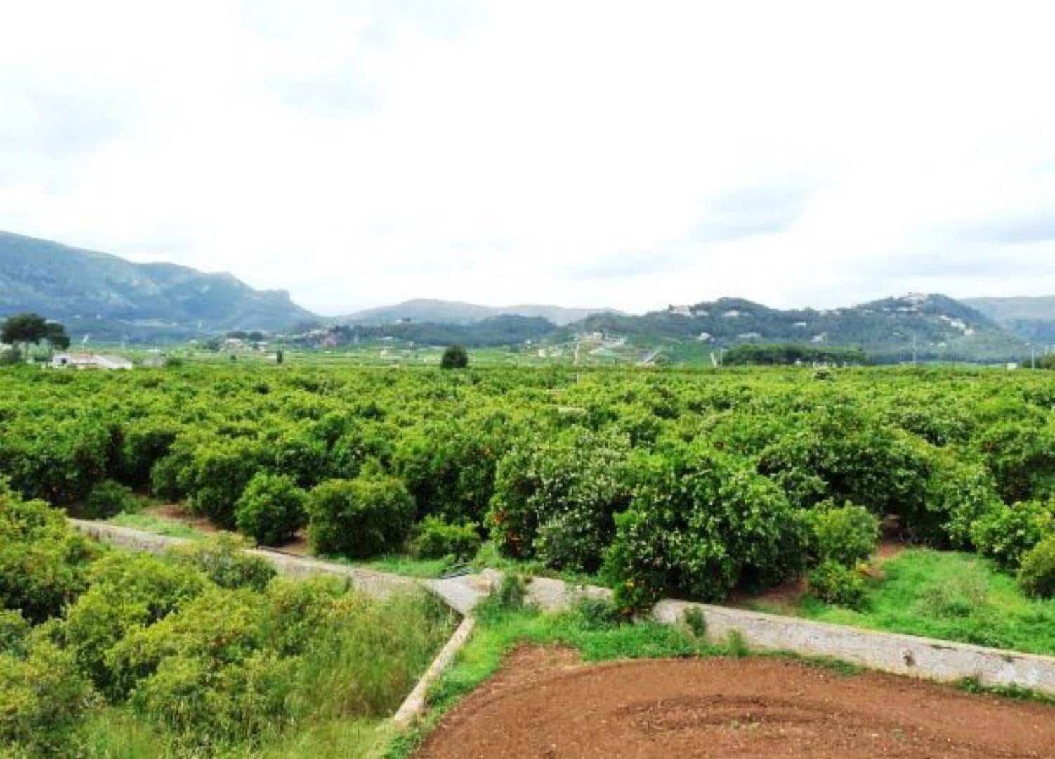 Finca/Casa Rural de 9 habitaciones en Benifairó de la Valldigna en venta con garaje - 550.000 € (Ref: 9487929)