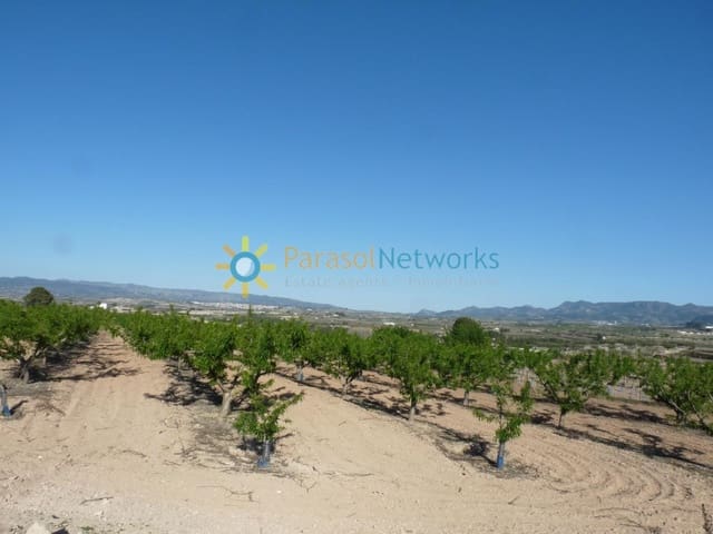 Grunde uden byggetilladelser til salg i Bèlgida - € 125.000 (Ref: 9495482)