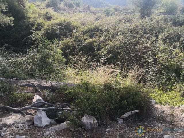 Undeveloped Land for sale in Villalonga - € 60,000 (Ref: 9500596)