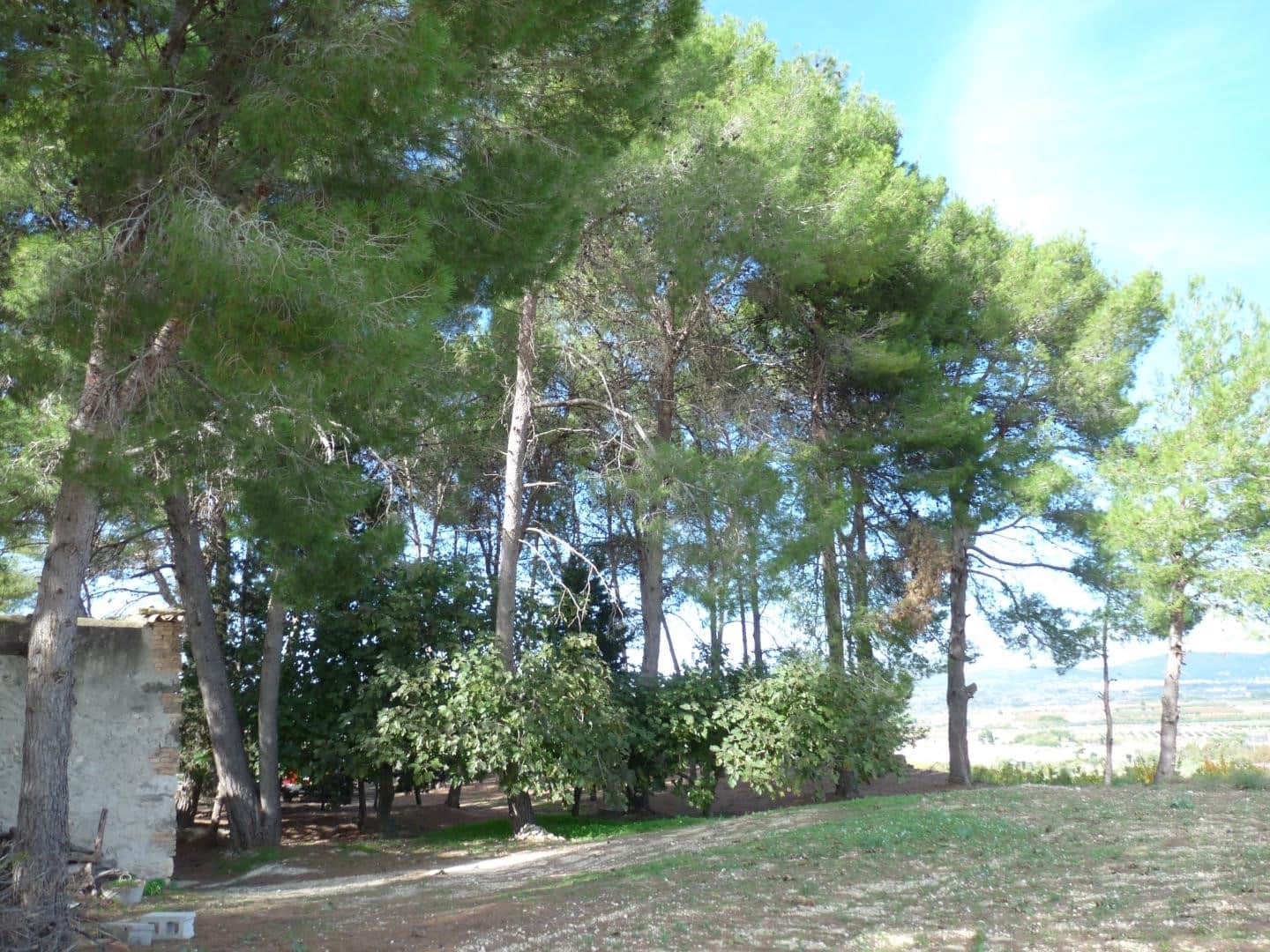 1 bedroom Finca/Country House for sale in Albaida with garage - € 95,000 (Ref: 9500630)