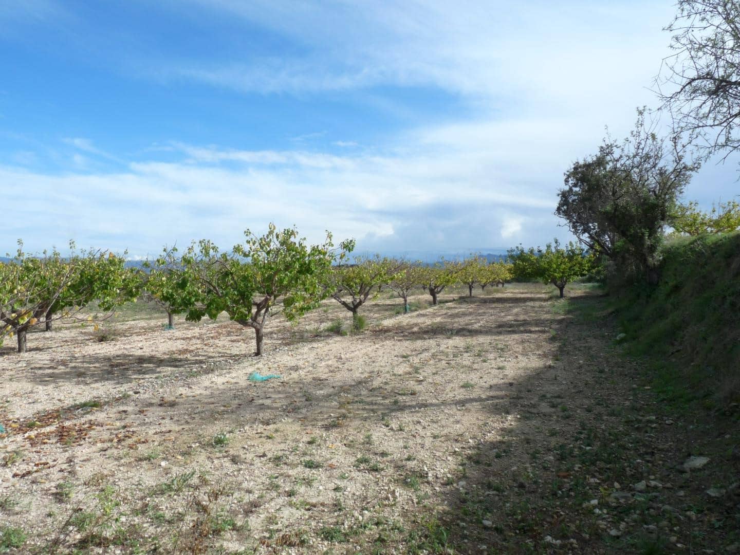 1 bedroom Finca/Country House for sale in Albaida with garage - € 95,000 (Ref: 9500630)