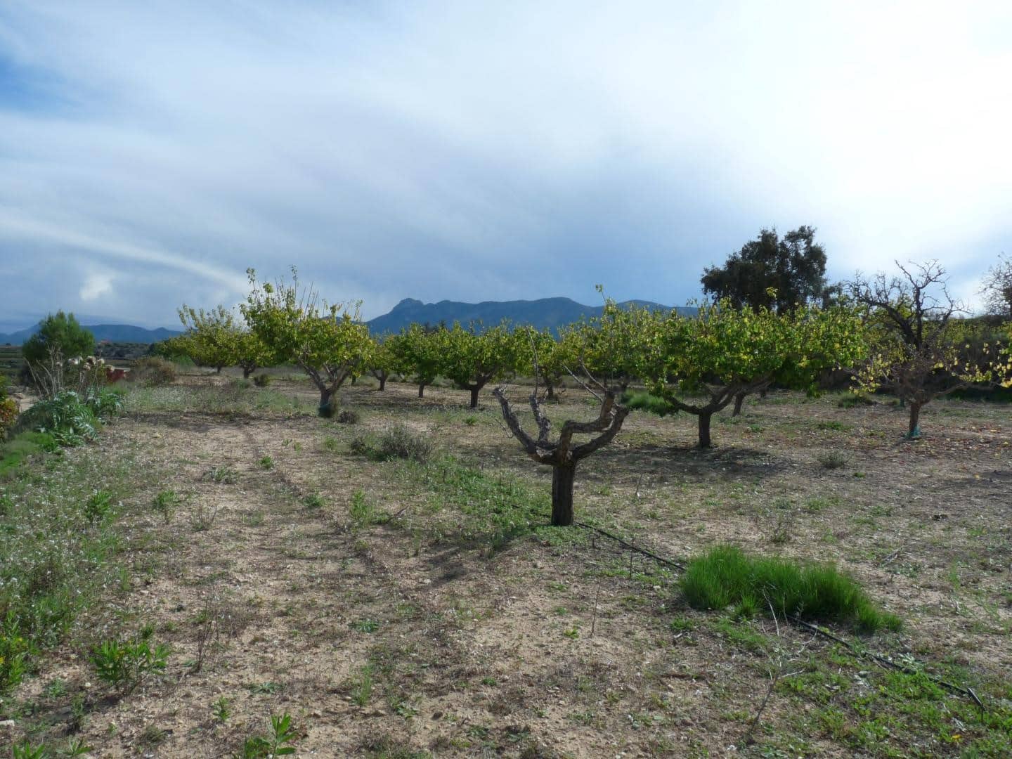 1 bedroom Finca/Country House for sale in Albaida with garage - € 95,000 (Ref: 9500630)