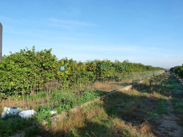 Bouwgrond te koop in Oliva Pueblo, Oliva - € 120.000 (Ref: 9500711)