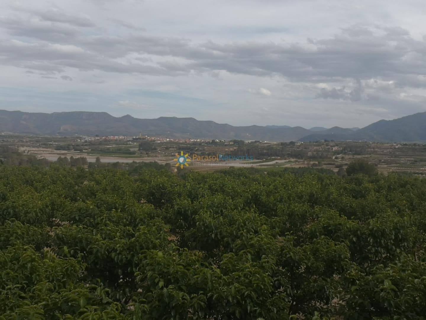 Rakentamaton maa myytävänä paikassa Beniganim - 88 000 € (Ref: 9500926)