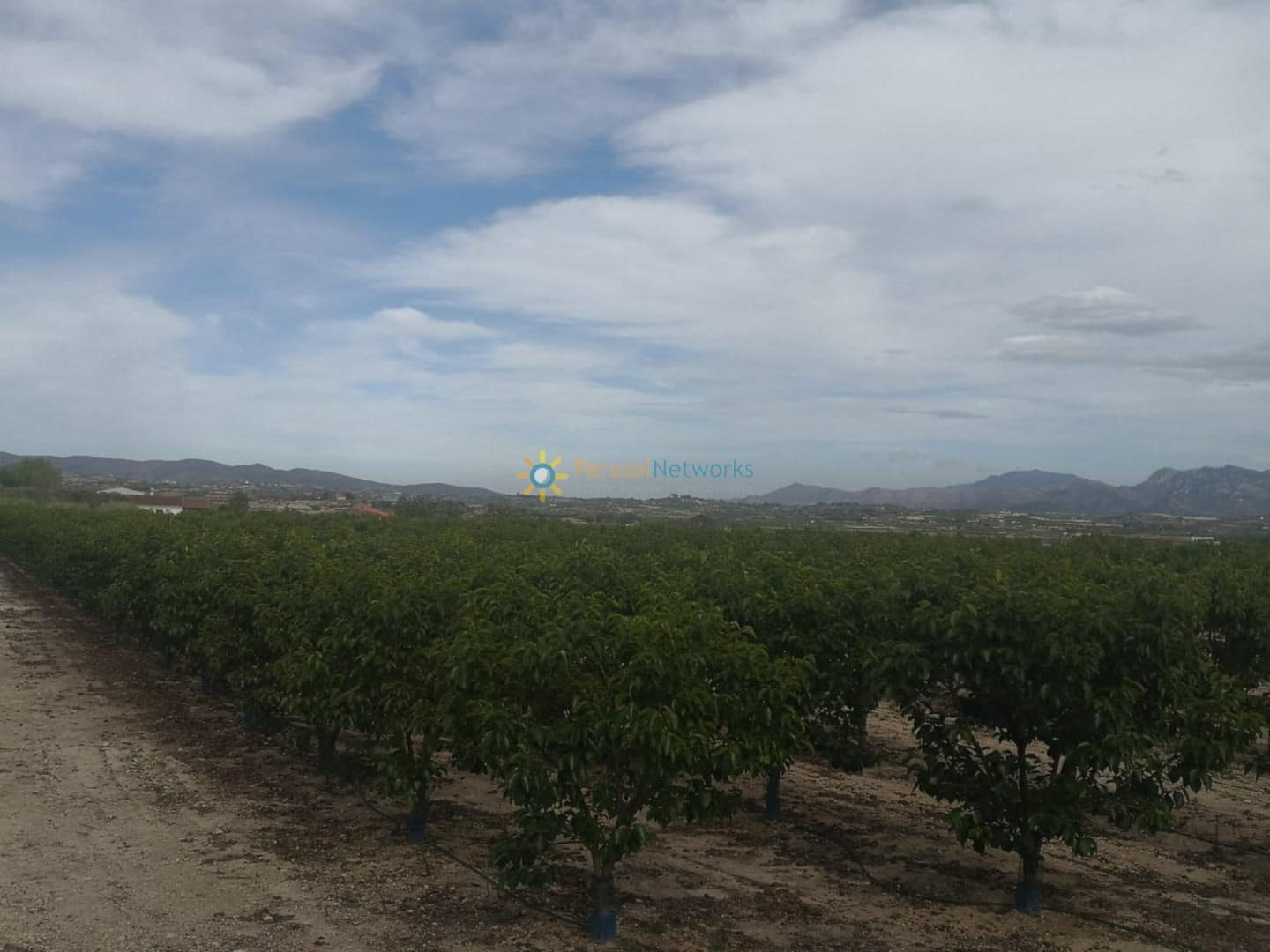 Rakentamaton maa myytävänä paikassa Beniganim - 88 000 € (Ref: 9500926)