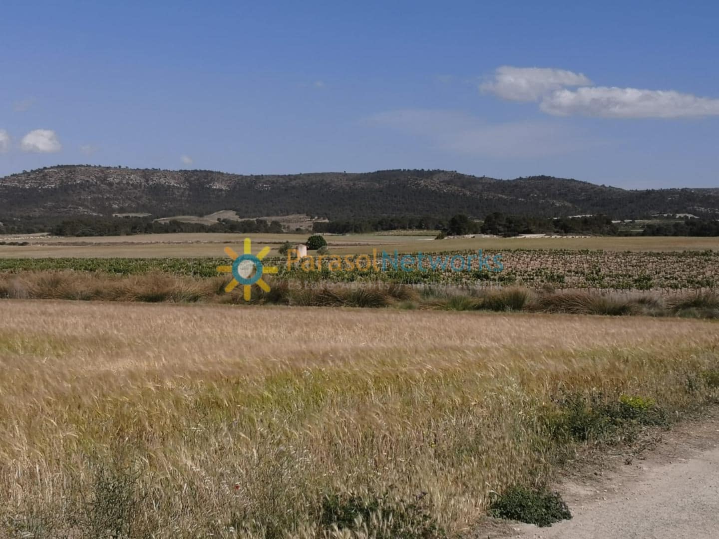 3 soveværelse Finca/Landehus til salg i Villena med garage - € 1.000.000 (Ref: 9509434)