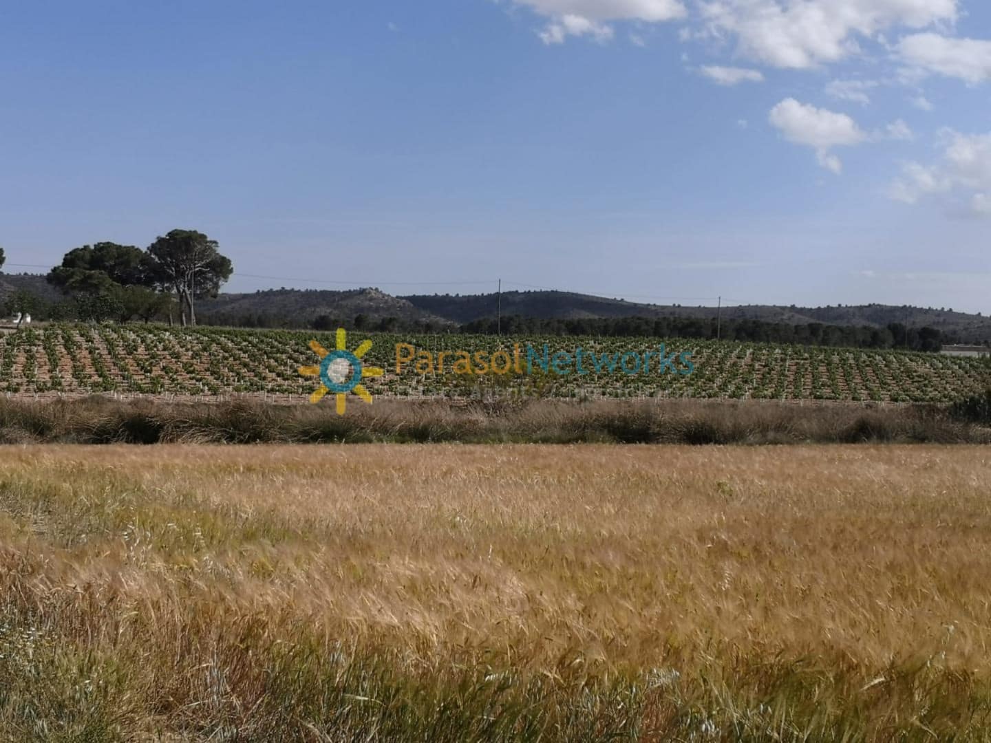 3 soveværelse Finca/Landehus til salg i Villena med garage - € 1.000.000 (Ref: 9509434)