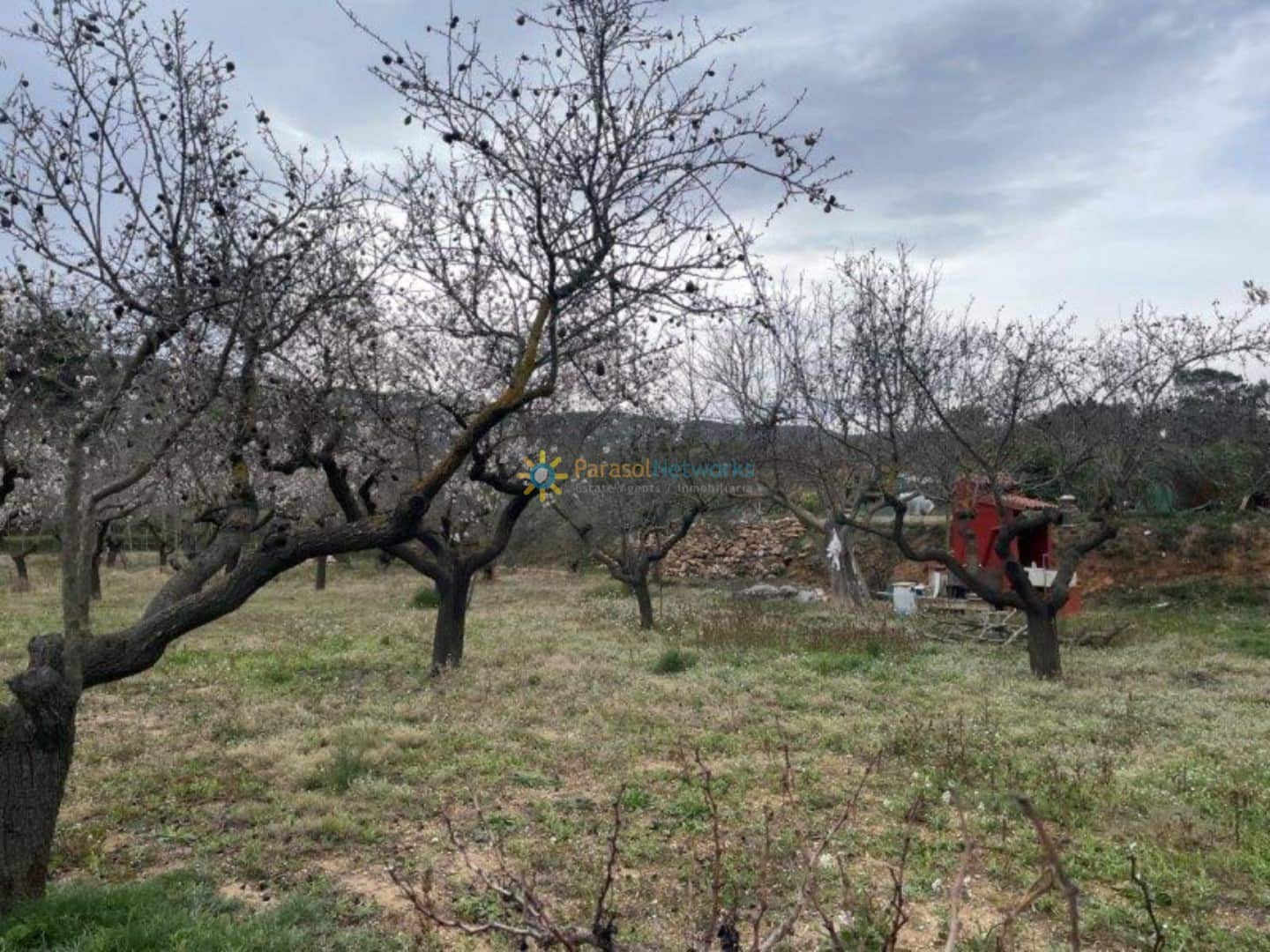 4 slaapkamer Villa te koop in Ontinyent - € 110.000 (Ref: 9511135)