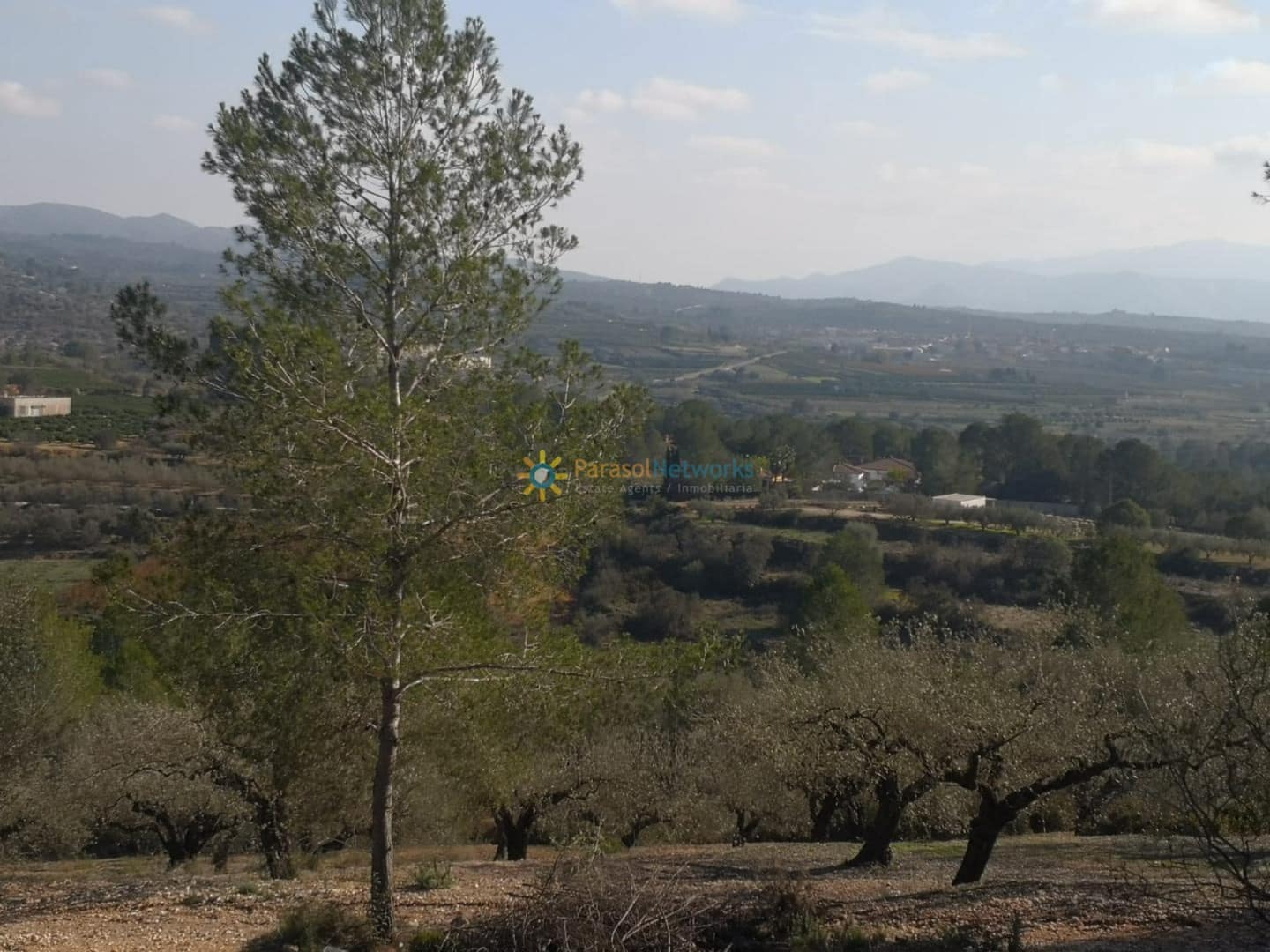 Finca/Country House for sale in Adsubia - € 450,000 (Ref: 9516388)