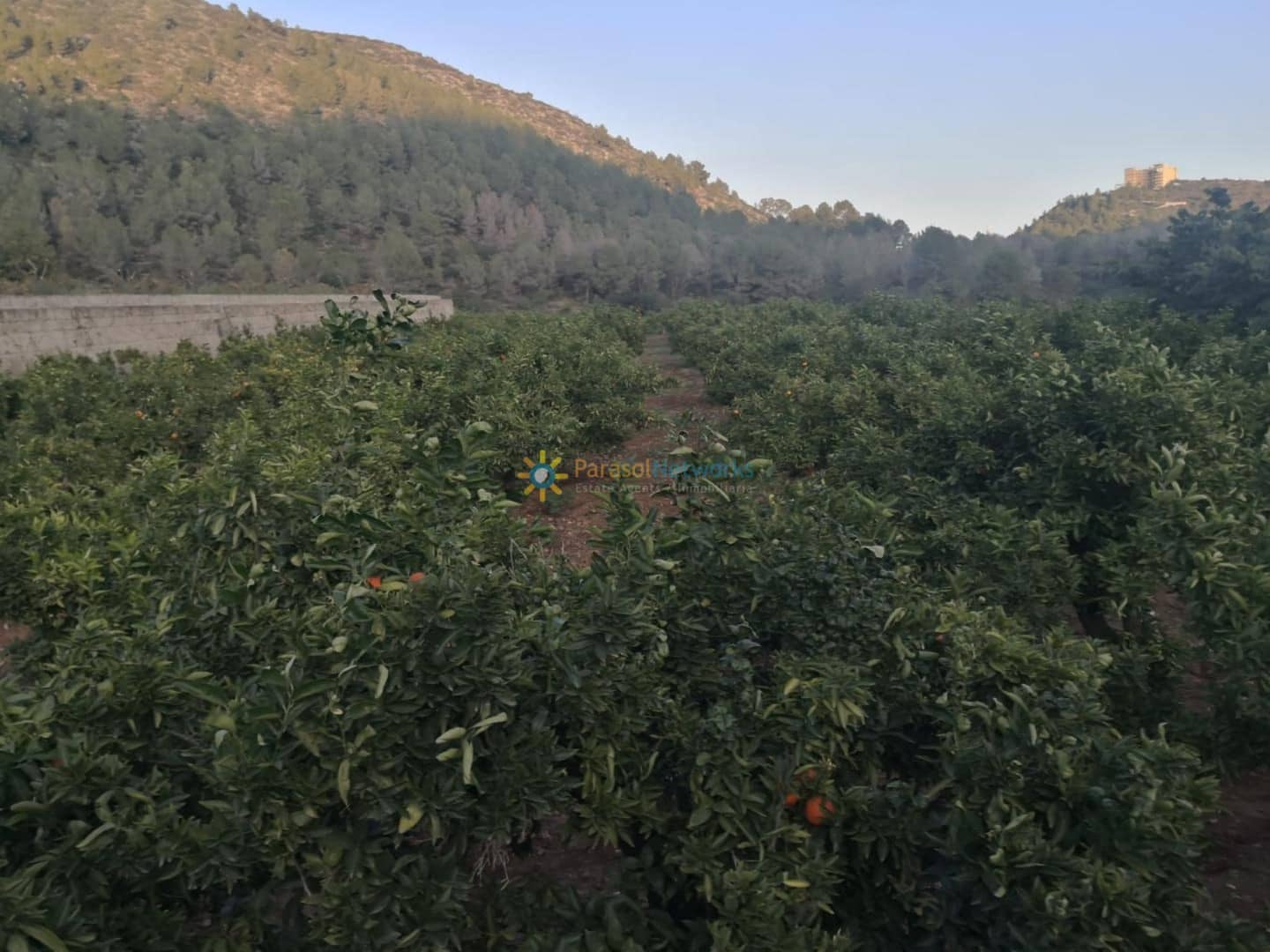 Finca/Country House for sale in Adsubia - € 450,000 (Ref: 9516388)