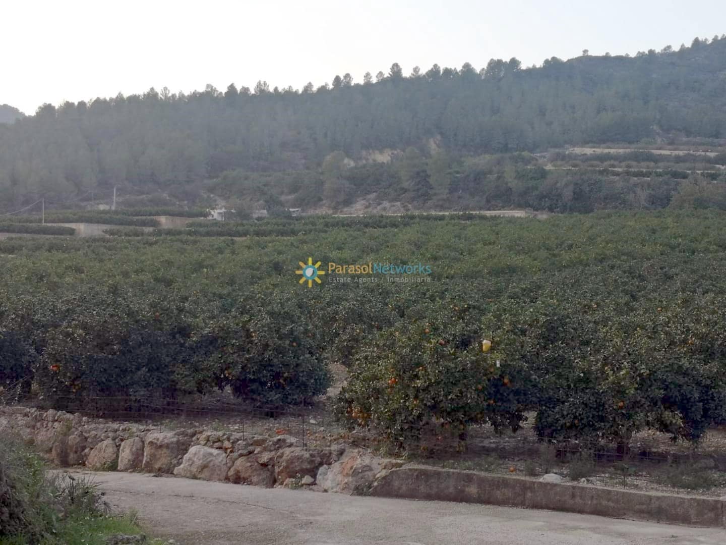 Finca/Country House for sale in Adsubia - € 450,000 (Ref: 9516388)