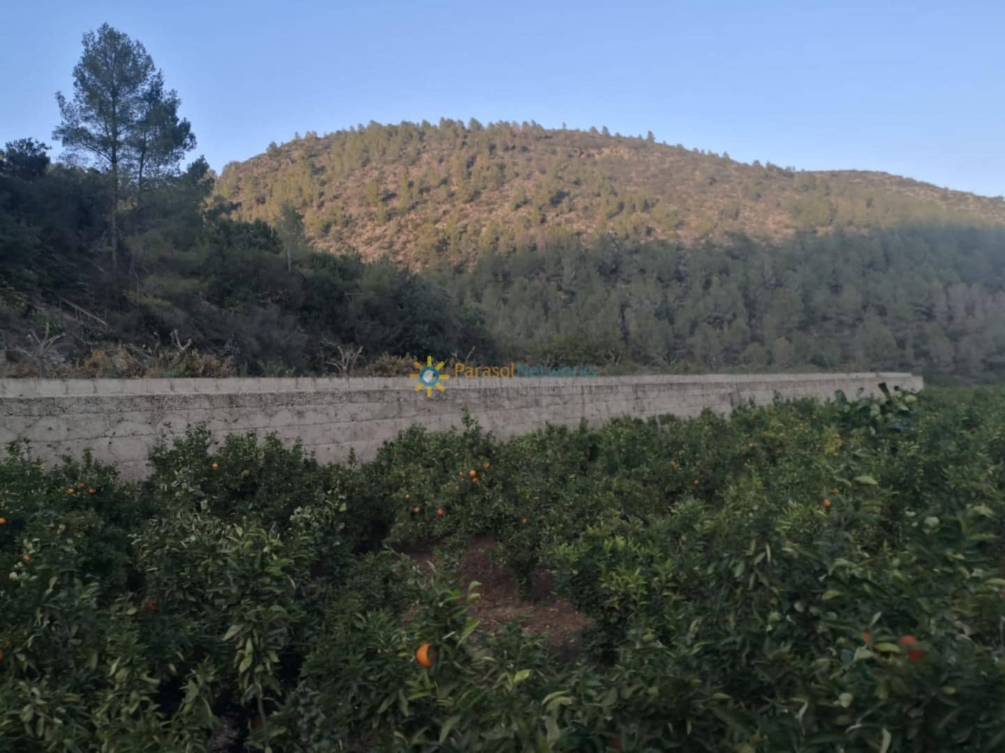 Finca/Country House for sale in Adsubia - € 450,000 (Ref: 9516388)