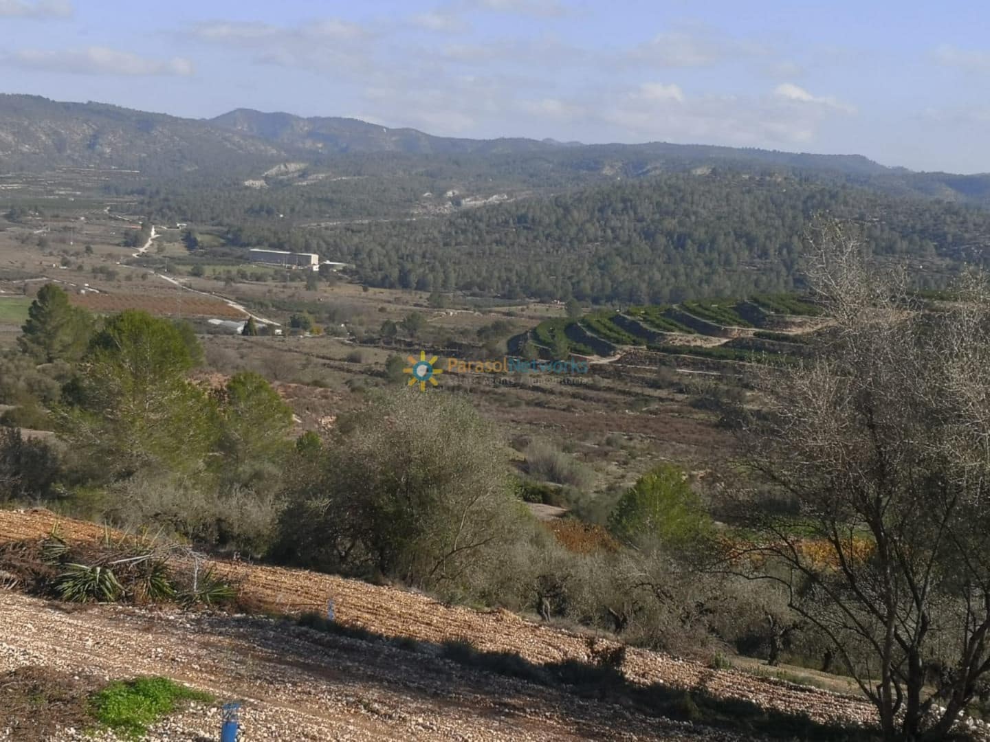 Finca/Country House for sale in Adsubia - € 450,000 (Ref: 9516388)