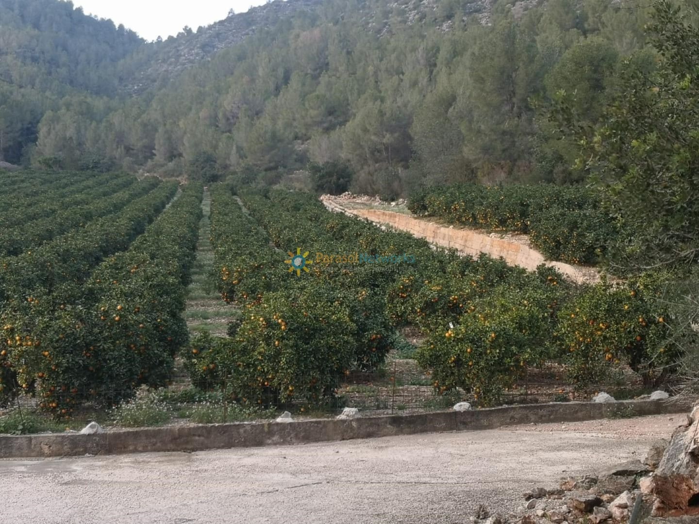 Finca/Country House for sale in Adsubia - € 450,000 (Ref: 9516388)